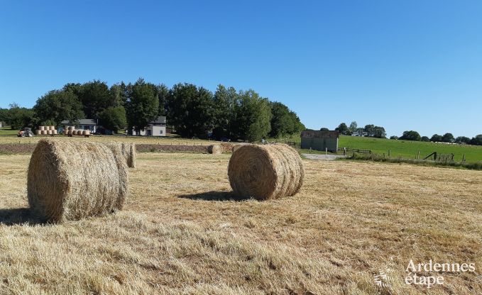 Comfortabel vakantiehuis in Neufchateau, ideaal voor 15 personen, met bubbelbad, sauna en speelvoorzieningen