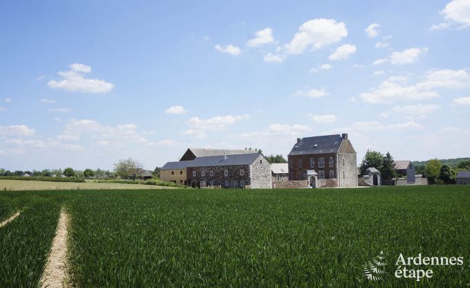 Kasteelhoeve voor 15 personen te huur in de Ardennen (Ohey)