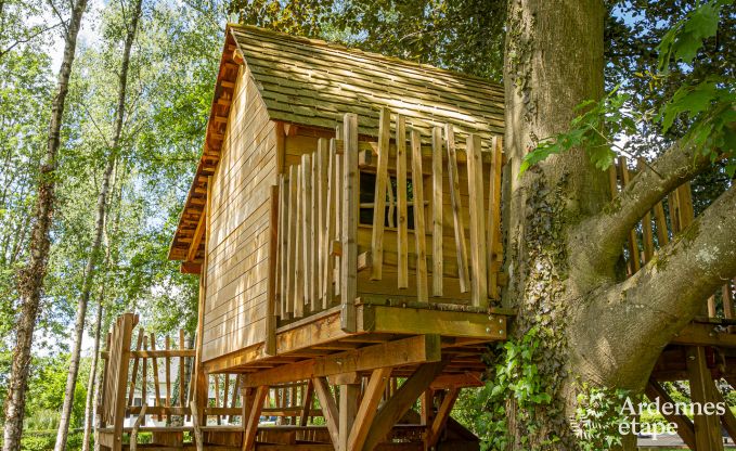 Luxe villa in Ohey voor 14 personen in de Ardennen