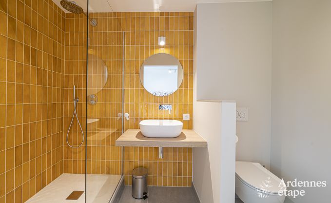 Luxe villa in Ohey voor 14 personen in de Ardennen