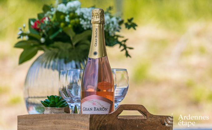 Vakantiehuis in Ohey voor 4 personen in de Ardennen