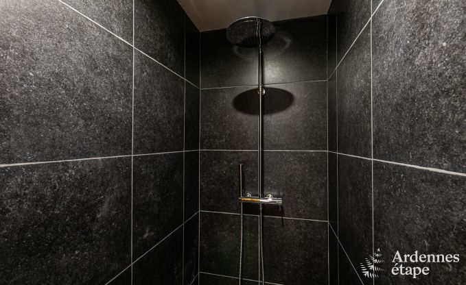 Vakantiehuis in Ohey voor 6/8 personen in de Ardennen