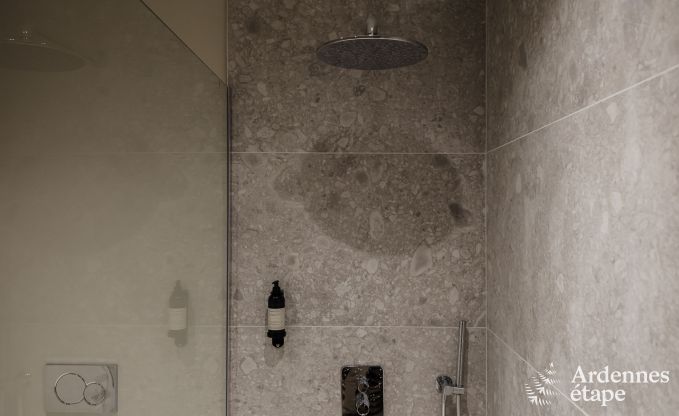 Luxueus appartement voor twee met zwembad in het prachtige Ohey