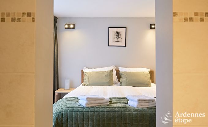 Schitterende vakantiewoning in Onhaye met zwembad, jacuzzi, sauna en speelkamers voor 14 personen nabij Dinant