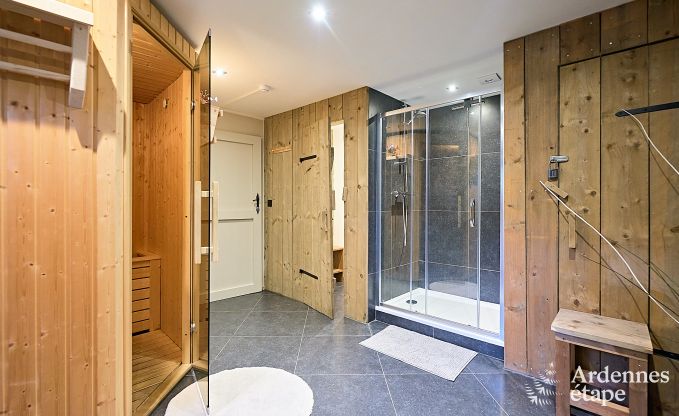 Schitterende vakantiewoning in Onhaye met zwembad, jacuzzi, sauna en speelkamers voor 14 personen nabij Dinant