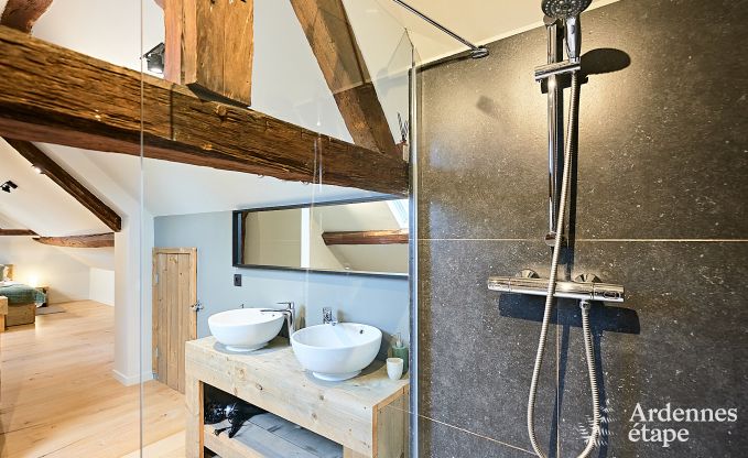 Schitterende vakantiewoning in Onhaye met zwembad, jacuzzi, sauna en speelkamers voor 14 personen nabij Dinant