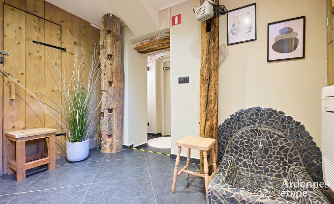 Schitterende vakantiewoning in Onhaye met zwembad, jacuzzi, sauna en speelkamers voor 14 personen nabij Dinant