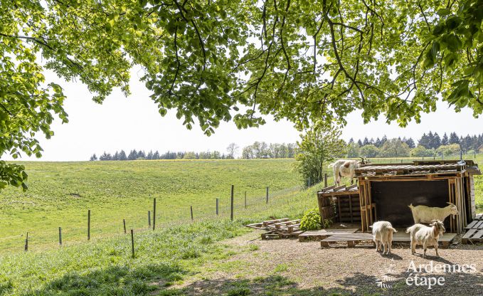 Vakantiehuis met tennisbaan in Onhaye voor 2/3 personen in de Ardennen