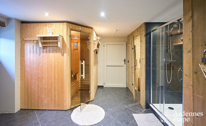 Schitterende vakantiewoning in Onhaye met zwembad, jacuzzi, sauna en speelkamers voor 14 personen nabij Dinant