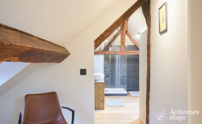 Schitterende vakantiewoning in Onhaye met zwembad, jacuzzi, sauna en speelkamers voor 14 personen nabij Dinant