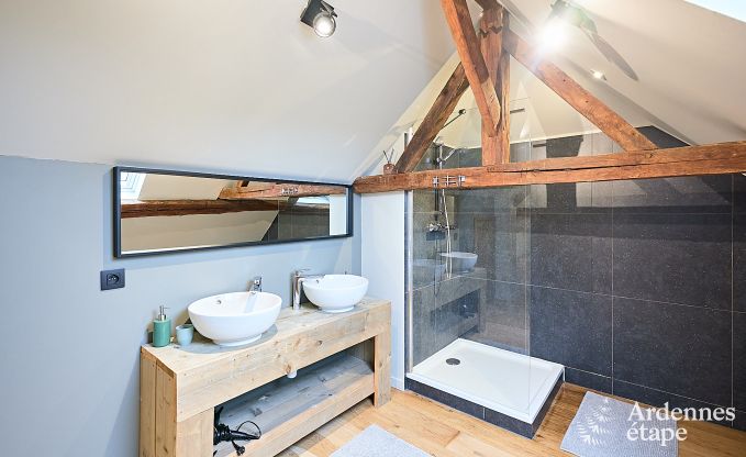 Schitterende vakantiewoning in Onhaye met zwembad, jacuzzi, sauna en speelkamers voor 14 personen nabij Dinant