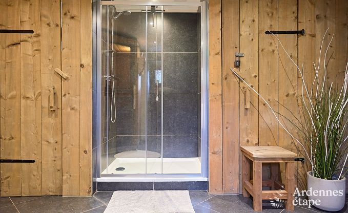 Schitterende vakantiewoning in Onhaye met zwembad, jacuzzi, sauna en speelkamers voor 14 personen nabij Dinant