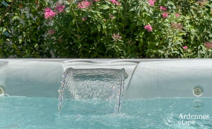 Schitterende vakantiewoning in Onhaye met zwembad, jacuzzi, sauna en speelkamers voor 14 personen nabij Dinant