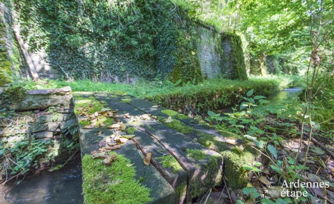 Vakantiehuis in Orval voor 8 personen in de Ardennen