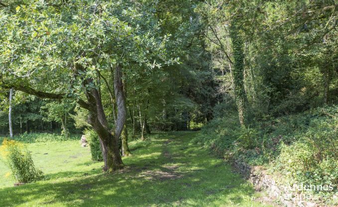 Vakantiehuis in Orval voor 12 personen in de Ardennen
