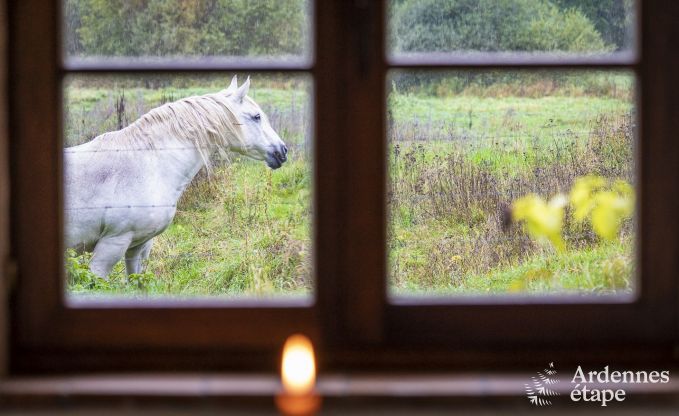 Vakantiehuis in Orval voor 6 personen in de Ardennen