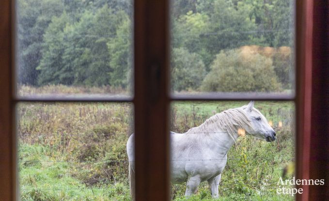 Vakantiehuis in Orval voor 6 personen in de Ardennen