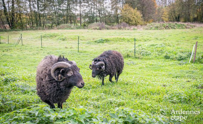 Vakantiehuis in Osnes (France) voor 10 personen in de Ardennen