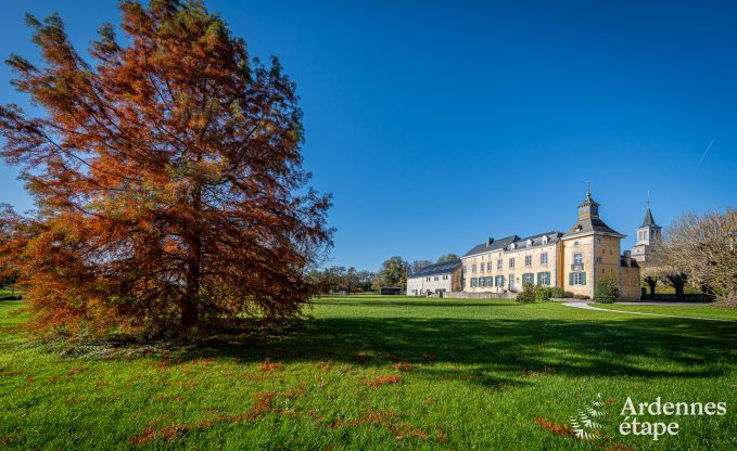 Luxe kasteel voor 30 personen in Ouffet met 14 slaapkamers, 12 badkamers, binnenzwembad, sauna en priv�tuin