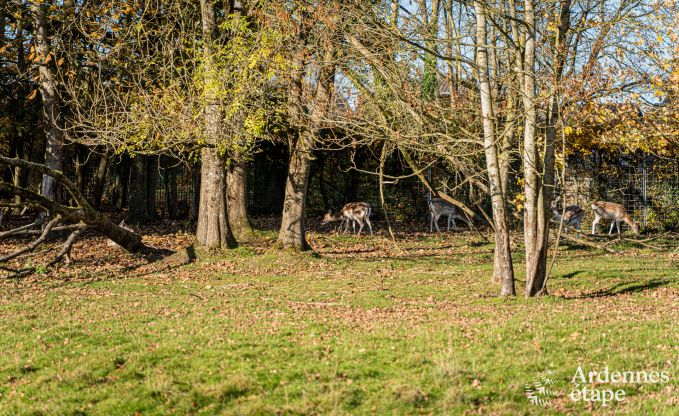 Luxe kasteel voor 30 personen in Ouffet met 14 slaapkamers, 12 badkamers, binnenzwembad, sauna en priv�tuin