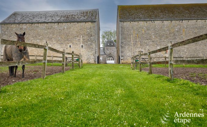 Volledig gerenoveerd, authentiek vakantiehuis in Ouffet, Ardennen