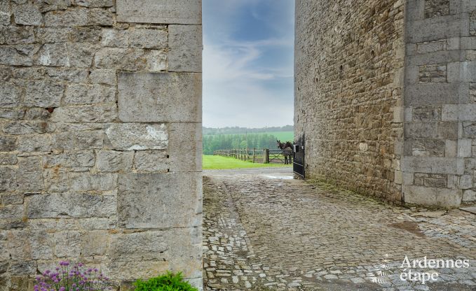 Volledig gerenoveerd, authentiek vakantiehuis in Ouffet, Ardennen