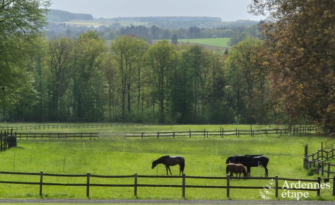 Volledig gerenoveerd, authentiek vakantiehuis in Ouffet, Ardennen
