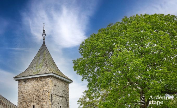 Volledig gerenoveerd, authentiek vakantiehuis in Ouffet, Ardennen
