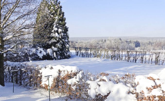 Appartement in Ovifat voor 4 personen in de Ardennen