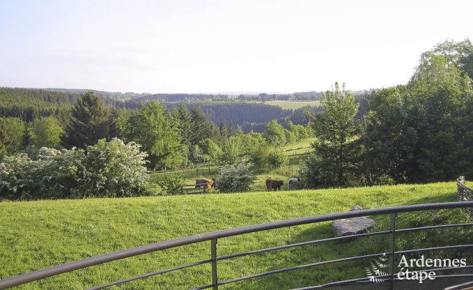 Luxe villa in Ovifat voor 18 personen in de Ardennen