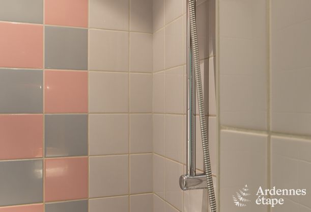 Luxe villa in Ovifat voor  14 pers. met tal van wellness- en ontspanningsfaciliteiten