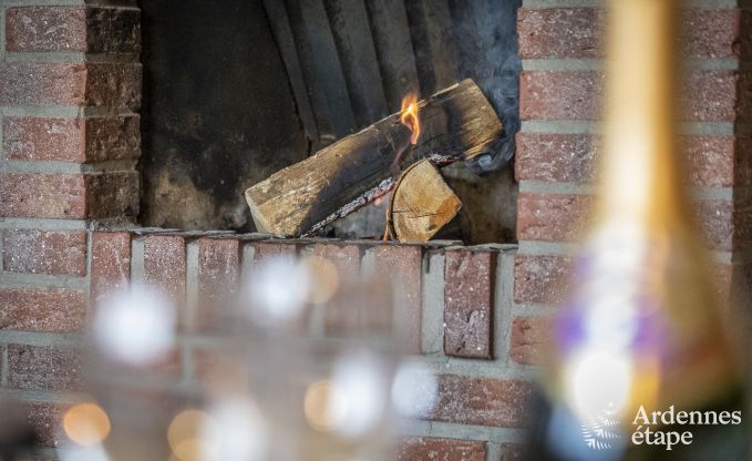 Chalet 4 personen in Ovifat, priv�tuin, familievoorzieningen, comfort en natuur in de Ardennen