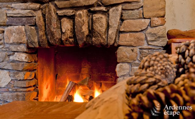 Ruim chalet in Ovifat, Ardennen, 16 personen, 8 slaapkamers, 3 badkamers, sauna, biljart, tuin met priv�terras