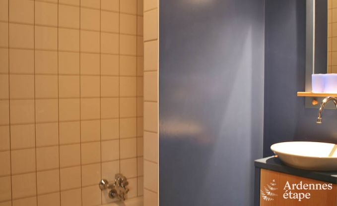 Luxe villa in Ovifat voor 18 personen in de Ardennen