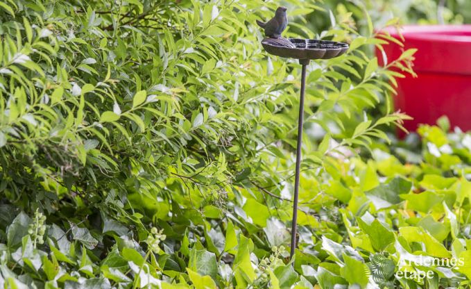 Vakantiehuis in Ovifat voor 6/8 personen in de Ardennen