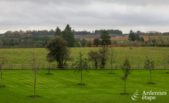 Appartement in Paliseul voor 4/6 personen in de Ardennen