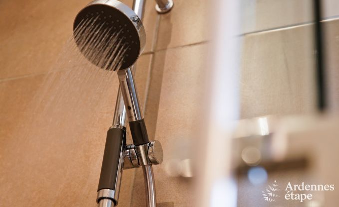 Cottage in Paliseul voor 10/12 personen in de Ardennen