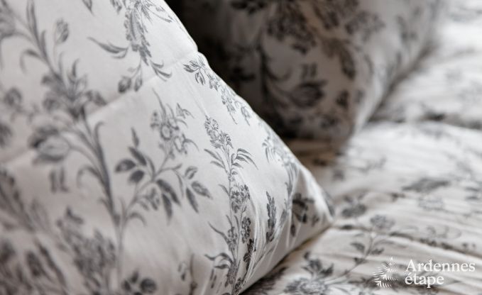 Cottage in Paliseul voor 10/12 personen in de Ardennen