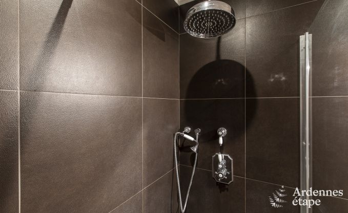 Luxe villa in Paliseul voor 8/10 personen in de Ardennen