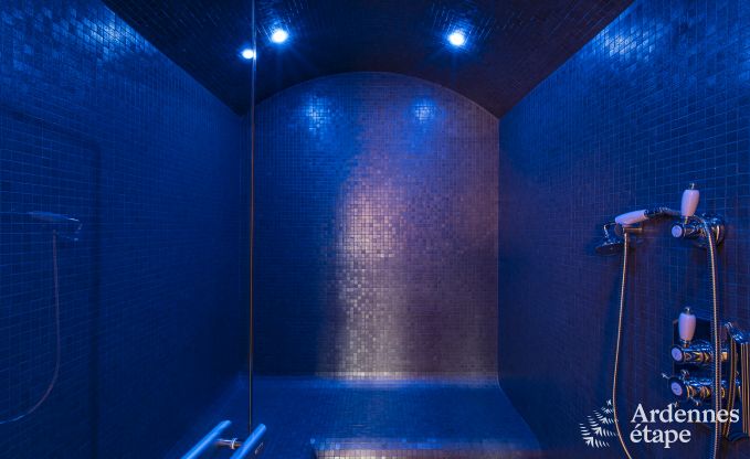 Luxe villa in Paliseul voor 8/10 personen in de Ardennen