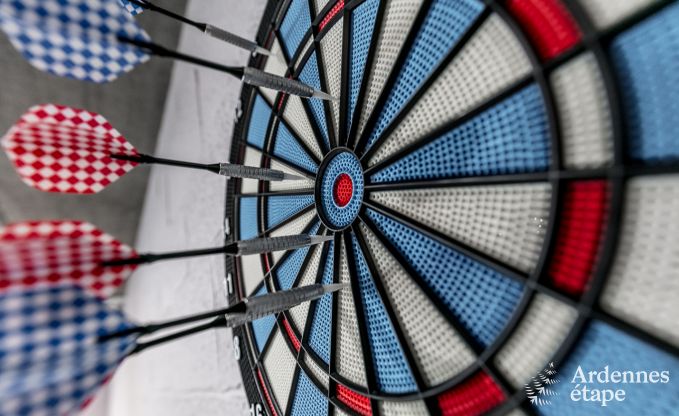 Hoogwaardige vakantiewoning in Paliseul voor 14 personen in de Ardennen