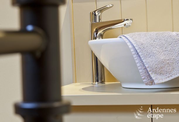 Vakantiehuis in Paliseul voor 4/5 personen in de Ardennen