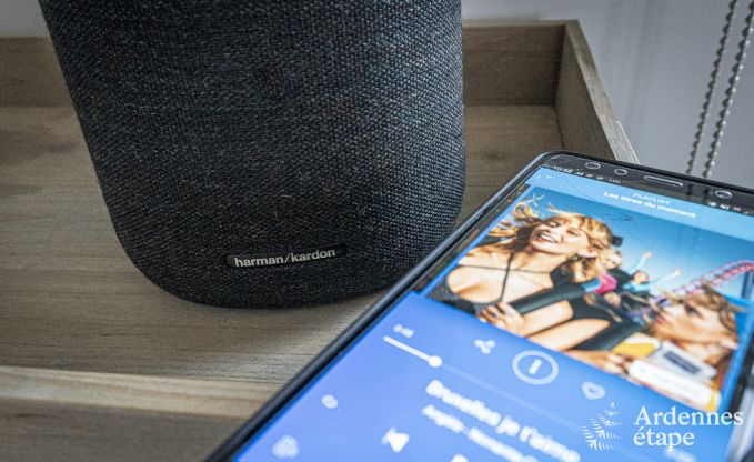 Vakantiehuis in Paliseul voor 10 personen in de Ardennen