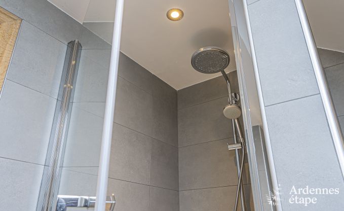 Vakantiehuis in Paliseul voor 10 personen in de Ardennen