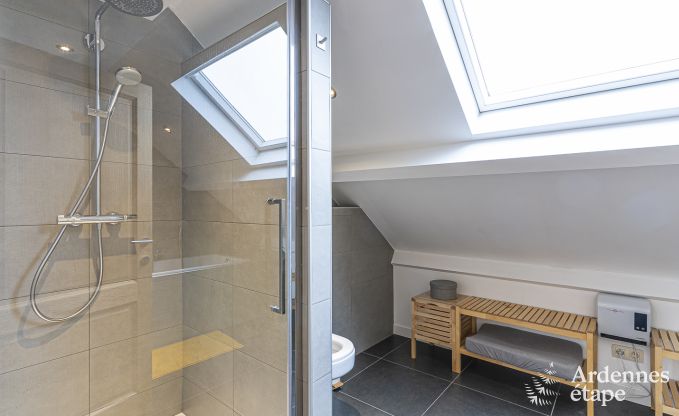 Vakantiehuis in Paliseul voor 10 personen in de Ardennen