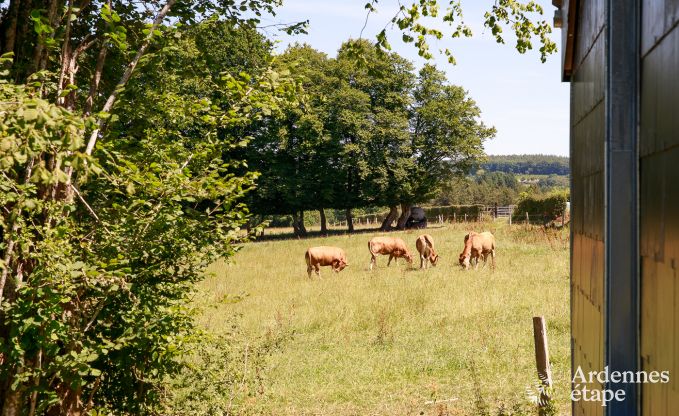 Comfortabel en rustig vakantiehuis in het Nationaal Park van de Semoisvallei, in  Paliseul