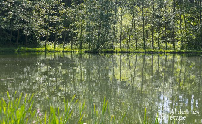 Vakantiehuis in Paliseul voor 6/8 personen in de Ardennen
