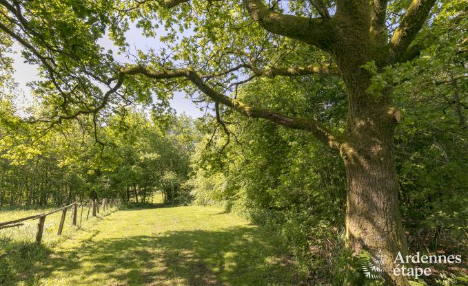 Vakantiehuis in Paliseul voor 6/8 personen in de Ardennen