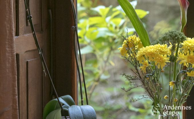 Vakantiehuis in Paliseul voor 6/8 personen in de Ardennen