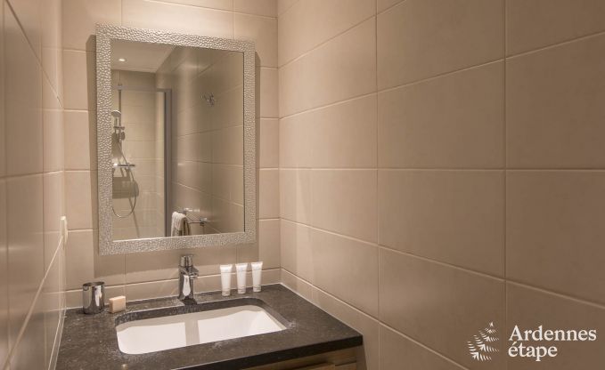 Vakantiehuis in Paliseul voor 8/9 personen in de Ardennen